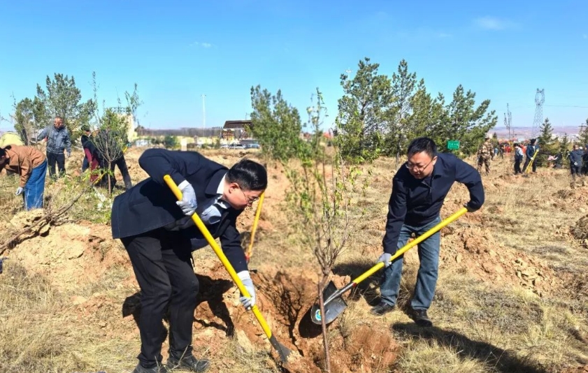履行植树义务 共建美丽中国丨武川县开展县直机关干部职工义务植树活动