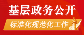 基层政务公开标准化规范化