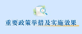 重要政策举措及实施效果