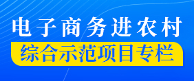电子商务进农村综合示范项目专栏